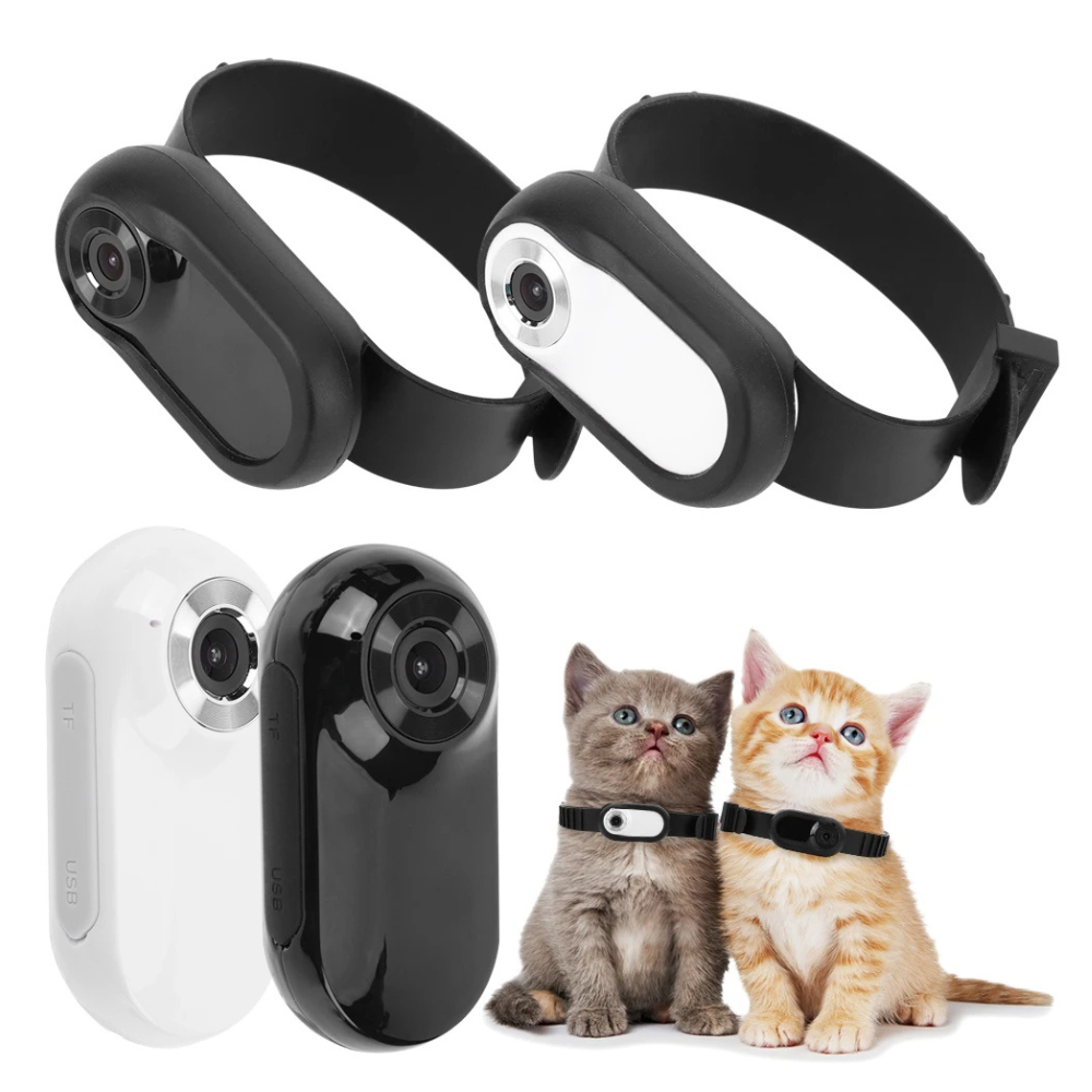 Pet Supplies